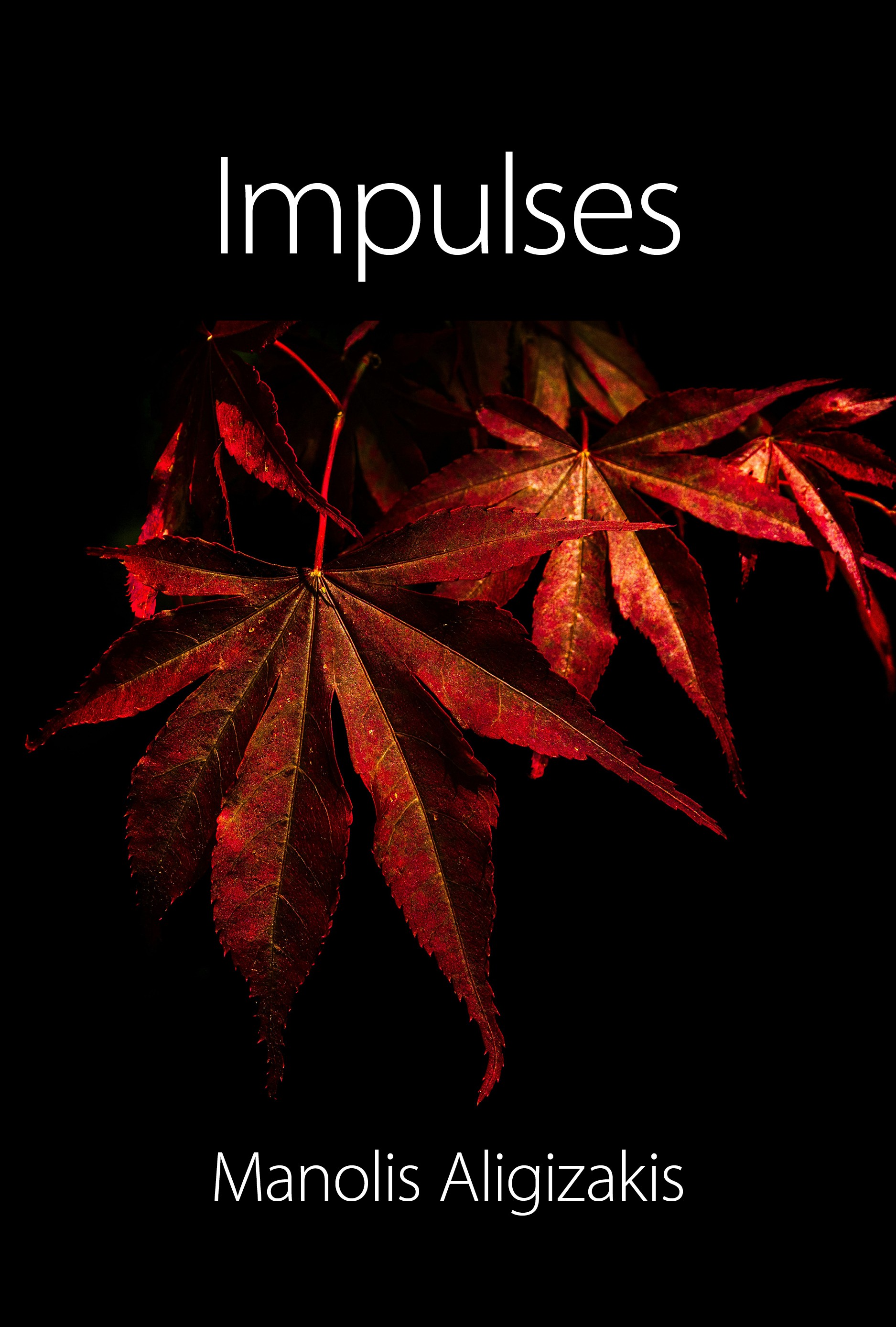 Impulses – Manolis Aligizakis